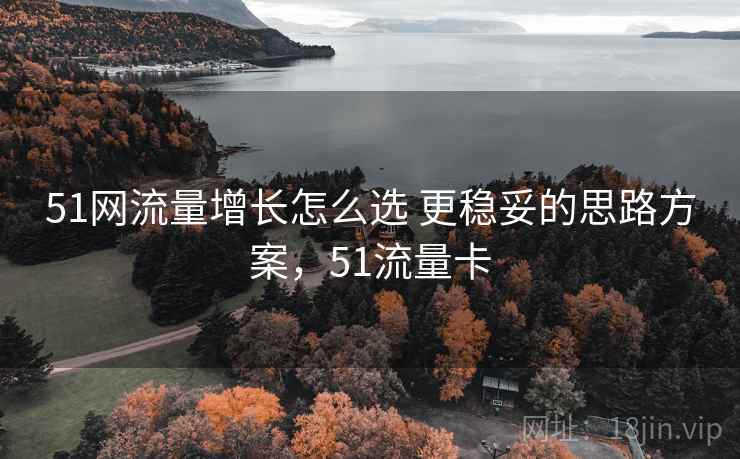 51网流量增长怎么选 更稳妥的思路方案，51流量卡