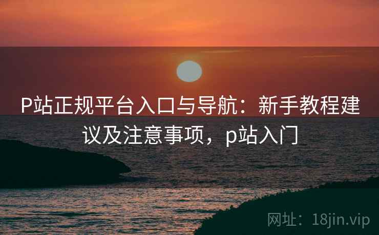 P站正规平台入口与导航：新手教程建议及注意事项，p站入门