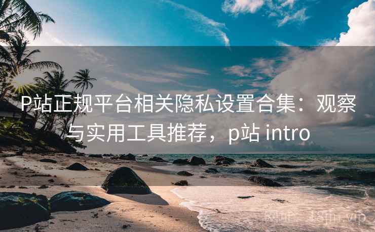 P站正规平台相关隐私设置合集：观察与实用工具推荐，p站 intro