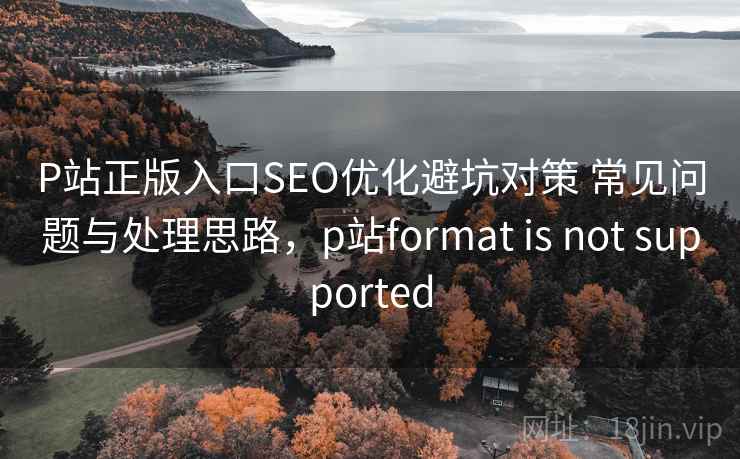 P站正版入口SEO优化避坑对策 常见问题与处理思路，p站format is not supported