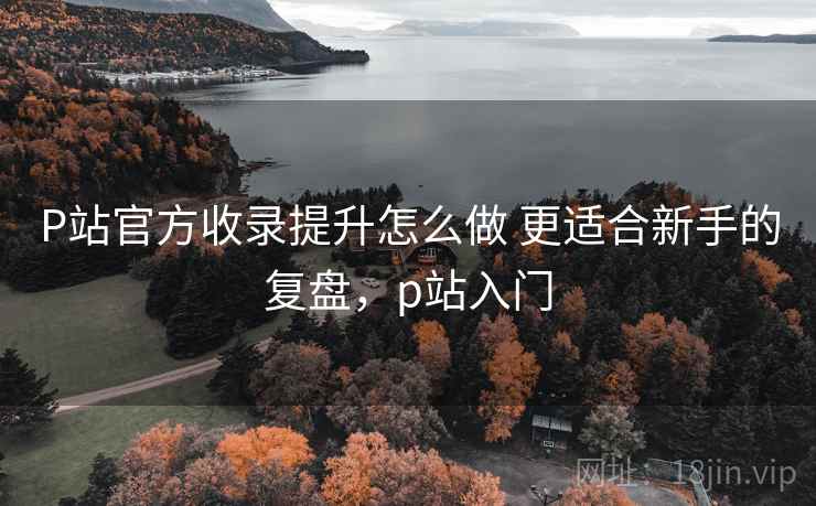 P站官方收录提升怎么做 更适合新手的复盘，p站入门