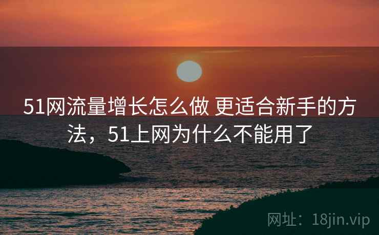 51网流量增长怎么做 更适合新手的方法,51上网为什么不能用了 51网流量增长怎么做 更适合新手的方法,51上网为什么不能用了