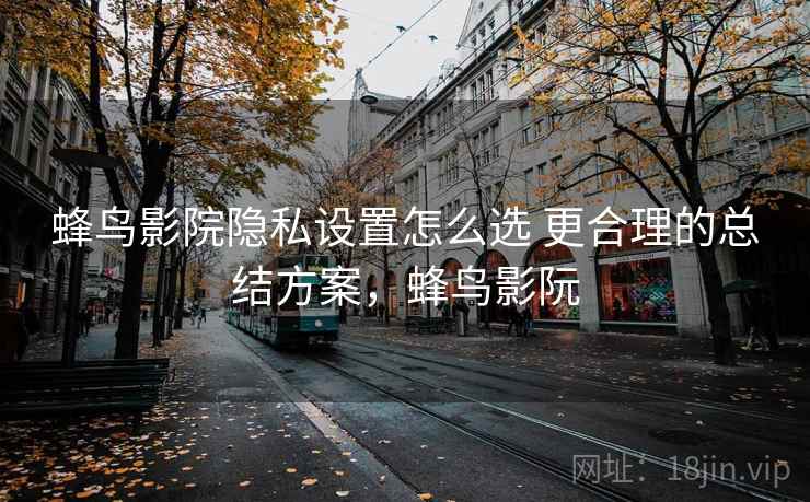 蜂鸟影院隐私设置怎么选 更合理的总结方案，蜂鸟影阮
