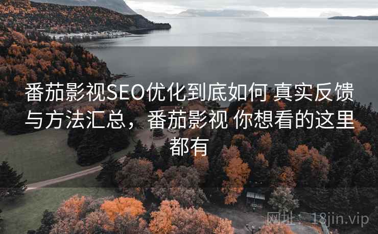 番茄影视SEO优化到底如何 真实反馈与方法汇总，番茄影视 你想看的这里都有