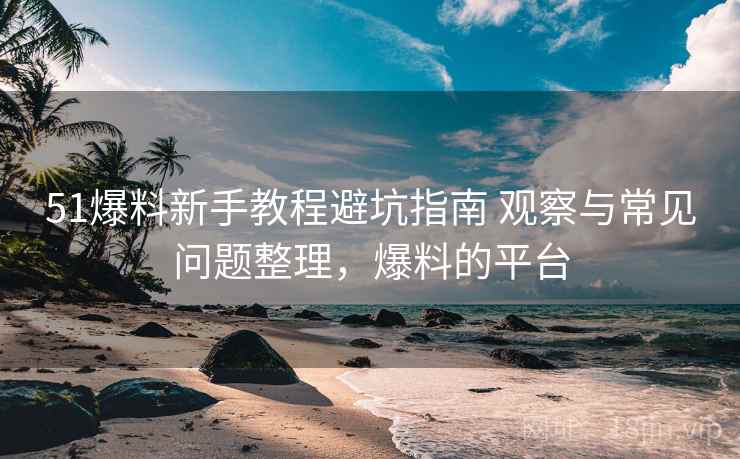 51爆料新手教程避坑指南 观察与常见问题整理，爆料的平台