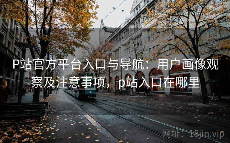 P站官方平台入口与导航：用户画像观察及注意事项，p站入口在哪里