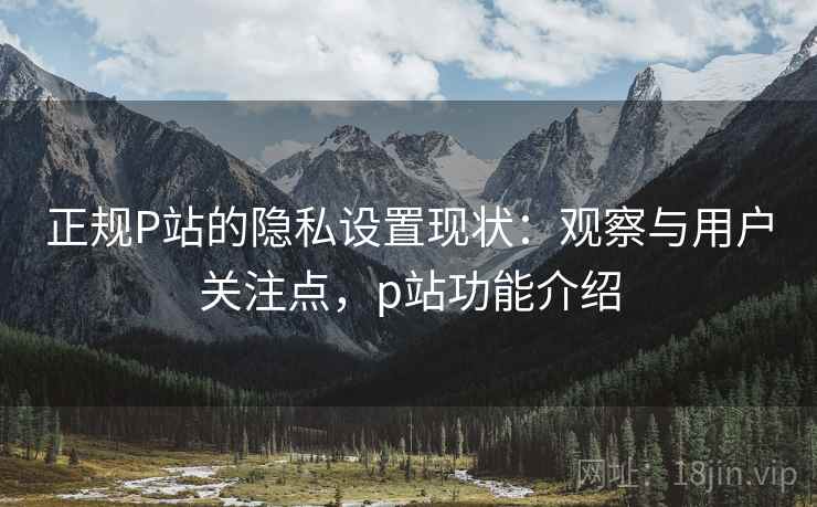 正规P站的隐私设置现状:观察与用户关注点,p站功能介绍 正规P站的隐私设置现状:观察与用户关注点,p站功能介绍