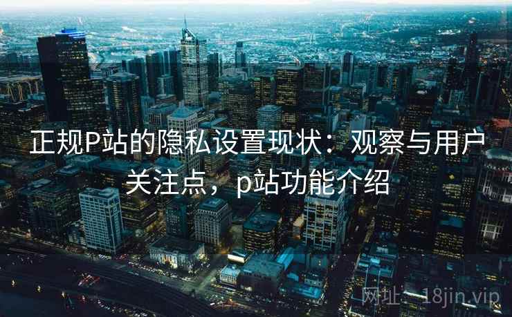 正规P站的隐私设置现状：观察与用户关注点，p站功能介绍