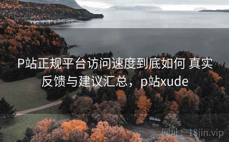 P站正规平台访问速度到底如何 真实反馈与建议汇总，p站xude