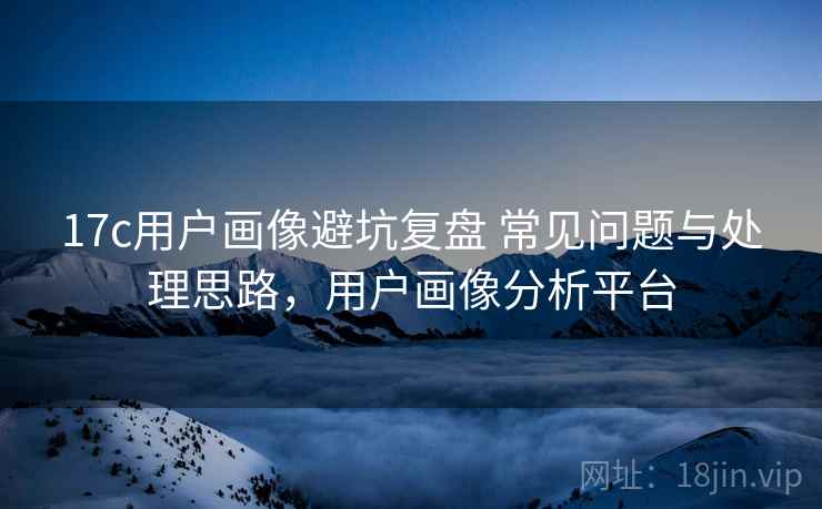 17c用户画像避坑复盘 常见问题与处理思路，用户画像分析平台