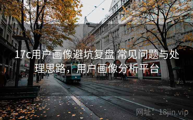 17c用户画像避坑复盘 常见问题与处理思路,用户画像分析平台 17c用户画像避坑复盘 常见问题与处理思路,用户画像分析平台