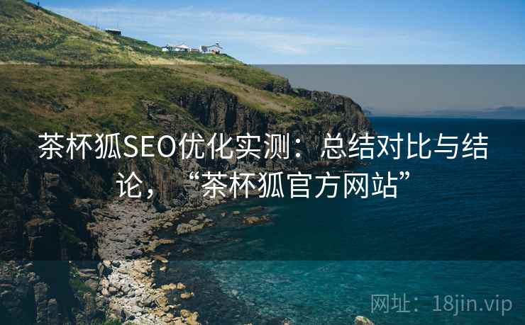 茶杯狐SEO优化实测：总结对比与结论，“茶杯狐官方网站”