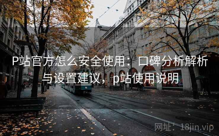 P站官方怎么安全使用：口碑分析解析与设置建议，p站使用说明