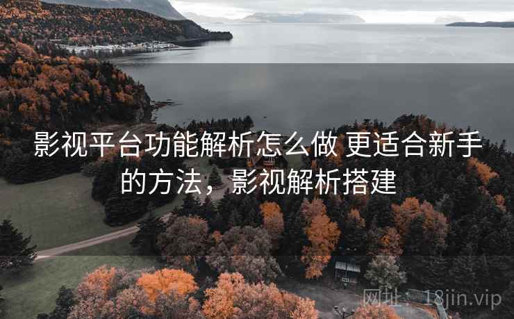 影视平台功能解析怎么做 更适合新手的方法，影视解析搭建