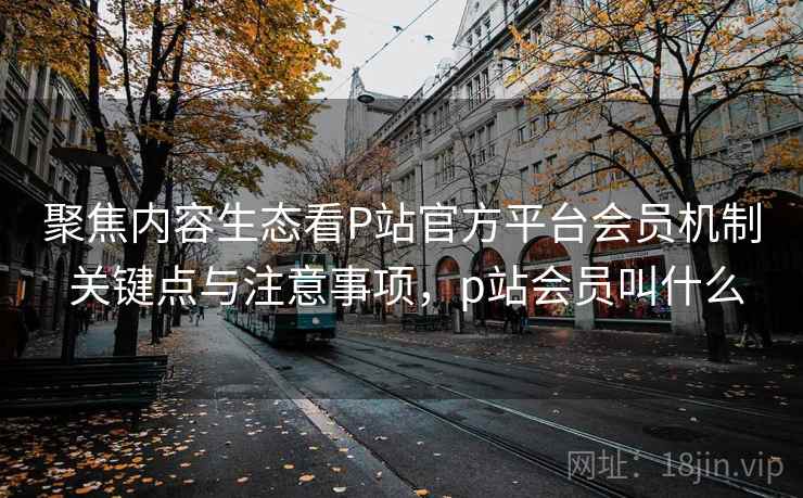 聚焦内容生态看P站官方平台会员机制 关键点与注意事项，p站会员叫什么